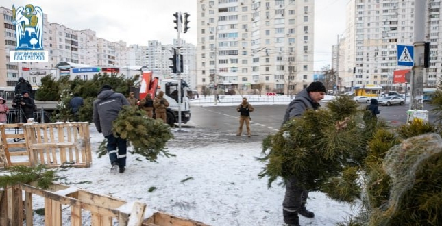 КП «Київблагоустрій» розпочало демонтажі незаконних точок з продажу ялинок
